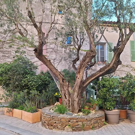 Standing, Vue Golfe Avec Parking Gratuit Διαμέρισμα *